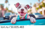 Happy dog joyride: Cute puppy enjoying the wind in convertible. Стоковое AI-изображение, AI-художник Данила Большаков / Фотобанк Лори