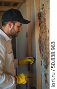 Technician in protective clothing conducting termite inspection and treatment to prevent structural damage to a house. Стоковое AI-видео, аниматор Sergey Grishin / Фотобанк Лори