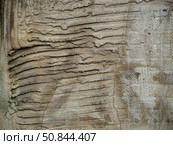 Abstract stone background of old rough plaster. Stripes are visible on the surface - grooves and imprints of the back side of the tile. Стоковое фото, фотограф Бузмакова Светлана / Фотобанк Лори