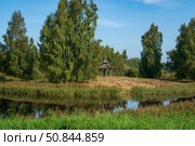 Gannibal Pond in the Petrovskoye Estate of the Pushkin Natural Landscape Reserve on a sunny summer day, Pushkinskiye Gory, Pskov region, Russia. Стоковое фото, фотограф Ula Ulachka / Фотобанк Лори