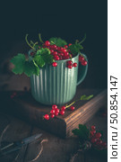 Freshly picked redcurrants spilling from a green mug onto a rustic wooden table, creating a cozy and inviting scene, perfect for food photography or culinary projects. Стоковое фото, фотограф Ольга Ильина / Фотобанк Лори