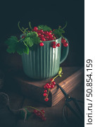 Sprigs of juicy redcurrants spill out of a green ribbed cup resting on a wooden board next to garden shears, creating a rustic still life. Стоковое фото, фотограф Ольга Ильина / Фотобанк Лори