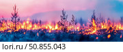 Forest calamity: A fiery blaze sweeps through dry woodland at dusk. Стоковое AI-изображение, AI-художник Данила Большаков / Фотобанк Лори