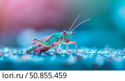 Intricate Insect: A Detailed Macro of a Colorful Grasshopper with Delicate Pink Legs and Antennae, Standing on Textured Surface. Стоковое AI-изображение, AI-художник Данила Большаков / Фотобанк Лори