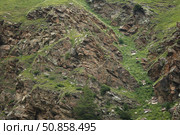 Текстура крутого скалистого склона горы с участками зеленой травы и кустарников. Природный геологический и альпийский пейзаж, фон. Стоковое фото, фотограф Евгений Ковальский / Фотобанк Лори
