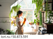 Woman in rubber gloves and apron manually washes window of house in bathroom with rag cleaner and mop inside interior with home plants. Restoring order and cleanliness, cleaning servise. Стоковое фото, фотограф Ольга Симонова / Фотобанк Лори