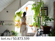 Woman in rubber gloves and apron manually washes window of house in bathroom with rag cleaner and mop inside interior with home plants. Restoring order and cleanliness, cleaning servise. Стоковое фото, фотограф Ольга Симонова / Фотобанк Лори