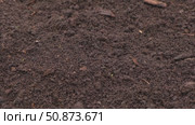 Fertile soil close-up. Richland in field. Black soil background. Natural ecological farming. Agricultural business. Humus, fertilized land. Bio agriculture and eco friendly cultivation. Rich land 4K. Стоковое видео, видеограф Марина Демидюк / Фотобанк Лори
