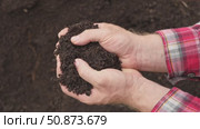 Fertile soil in male hands. Farmer hold rich land in field. Handful black soil. Natural ecological farming. Agricultural business. Humus, fertilized land. Bio agriculture and eco friendly cultivation. Стоковое видео, видеограф Марина Демидюк / Фотобанк Лори