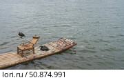 Two black cormorants on a bamboo raft. Fishing birds sit on a pole placed on a wooden chair. Ripples on the surface of the river. China. Guilin. Taohua River. Стоковое фото, фотограф Вера Ивановна Кубарева / Фотобанк Лори