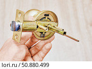 Door knob mechanism with latch assembly, spring loaded bolt system, cylindrical spindle and internal components in detailed view. Стоковое фото, фотограф Владимир Григорьев / Фотобанк Лори