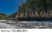 Low tide in the ocean. There are piles of exposed boulders on the sandy beach. Green vegetation on a steep bank. The blue sky. Madagascar. Стоковое фото, фотограф Вера Ивановна Кубарева / Фотобанк Лори