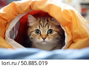 Curious kitten hiding in orange sleeping bag, discovering the world from a cozy hideout. Стоковое AI-изображение, AI-художник Иван Рябоконь / Фотобанк Лори