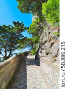 Capri island, Italy. Стоковое фото, фотограф Anastasy Yarmolovich / Фотобанк Лори