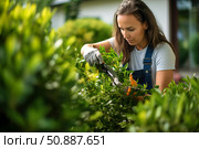 Gardener trimming hedge in garden during summer day. Стоковое AI-изображение, AI-художник Иван Рябоконь / Фотобанк Лори