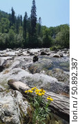 Река Солзан. Стоковое видео, видеограф Ольга Грушицкая / Фотобанк Лори