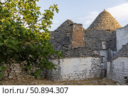 Италия. Альбарабелло. Вид на традиционные дома-трулли. Italy. Alberobello. A view of traditional trulli houses. Стоковое фото, фотограф Алексей Смышляев / Фотобанк Лори