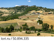 Италия. Апулия. Пейзаж с полями и деревьями. Italy. Apulia. Landscape with fields and trees. Стоковое фото, фотограф Алексей Смышляев / Фотобанк Лори