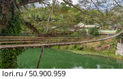 A rickety bamboo bridge spans over a tropical river. The weave of the path, the flimsy railing is visible. Lush green vegetation on the shores. Tree branches above the emerald water. Philippines.Bohol (2024 год). Стоковое фото, фотограф Вера Ивановна Кубарева / Фотобанк Лори