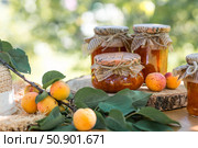 Preservation and summer harvest. Homemade healthy jelly, apricot jam. Preparing jars. Sweets and fruits. Стоковое фото, фотограф Photojuli / Фотобанк Лори