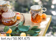 Preservation and summer harvest. Homemade healthy jelly, apricot jam. Preparing jars. Sweets and fruits. Стоковое фото, фотограф Photojuli / Фотобанк Лори