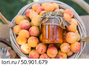 Preservation and summer harvest. Homemade healthy jelly, apricot jam. Preparing jars. Sweets and fruits. Стоковое фото, фотограф Photojuli / Фотобанк Лори