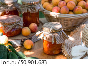 Preservation and summer harvest. Homemade healthy jelly, apricot jam. Preparing jars. Sweets and fruits. Стоковое фото, фотограф Photojuli / Фотобанк Лори