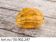 Decorative yelow pampkin seasonal vegetables. Стоковое фото, фотограф Андрей Старостин / Фотобанк Лори