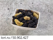 Ripe sweet juicy black and white mullberry. Стоковое фото, фотограф Андрей Старостин / Фотобанк Лори