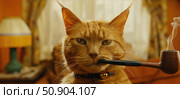 A cat with a pipe in its mouth looking curious and observant. Стоковое AI-изображение, AI-художник Данила Большаков / Фотобанк Лори