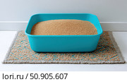 Cat litter box filled with white-gray litter with blue particles. Clumping cat in home background. Clean teal blue pet litter box placed on a rug carpet. Cleanliness concept. Cat toilet. Pets hygiene. Стоковое AI-изображение, AI-художник Марина Демидюк / Фотобанк Лори