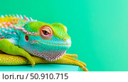 Close up portrait of a colorful lizard with vivid scale patterns against a solid vibrant backdrop. Стоковое AI-изображение, AI-художник Данила Большаков / Фотобанк Лори