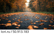 seas leaves on road ai generated. Стоковое AI-изображение, AI-художник Vectorwin / Фотобанк Лори