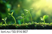 fertilization plant life cycle ai generated. Стоковое AI-изображение, AI-художник Vectorwin / Фотобанк Лори