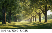 avenue line of trees ai generated. Стоковое AI-изображение, AI-художник Vectorwin / Фотобанк Лори