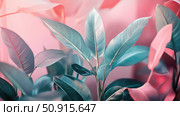 orchid pastel plants ai generated. Стоковое AI-изображение, AI-художник Vectorwin / Фотобанк Лори
