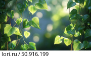 tendril climbing plant ai generated. Стоковое AI-изображение, AI-художник Vectorwin / Фотобанк Лори