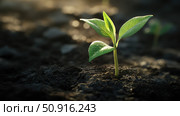 seedling plant sprout ai generated. Стоковое AI-изображение, AI-художник Vectorwin / Фотобанк Лори