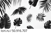 philodendron tropical leaf silhouettes ai generated. Стоковое AI-изображение, AI-художник Vectorwin / Фотобанк Лори