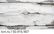shabby white weathered wood ai generated. Стоковое AI-изображение, AI-художник Vectorwin / Фотобанк Лори
