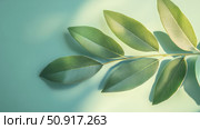 tea senna leaf ai generated. Стоковое AI-изображение, AI-художник Vectorwin / Фотобанк Лори