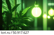energy green lighting ai generated. Стоковое AI-изображение, AI-художник Vectorwin / Фотобанк Лори