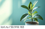 botany science plants ai generated. Стоковое AI-изображение, AI-художник Vectorwin / Фотобанк Лори