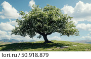crataegus hawthorn tree ai generated. Стоковое AI-изображение, AI-художник Vectorwin / Фотобанк Лори