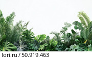 garden tropical plant border ai generated. Стоковое AI-изображение, AI-художник Vectorwin / Фотобанк Лори