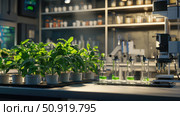 propagation lab plant ai generated. Стоковое AI-изображение, AI-художник Vectorwin / Фотобанк Лори