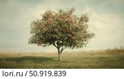 orchard vintage apple tree ai generated. Стоковое AI-изображение, AI-художник Vectorwin / Фотобанк Лори