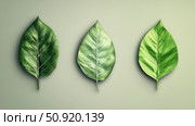 cordate leaf shapes ai generated. Стоковое AI-изображение, AI-художник Vectorwin / Фотобанк Лори