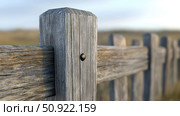 durable wood fence post ai generated. Стоковое AI-изображение, AI-художник Vectorwin / Фотобанк Лори