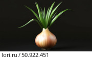 harvest onion plant ai generated. Стоковое AI-изображение, AI-художник Vectorwin / Фотобанк Лори